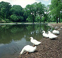 Shelby Park and Golf Course