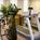 Residence Inn by Marriott Phoenix Glendale Peoria from Hotels.com