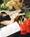 Valley River Inn::Expedia