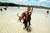 Dog Beach::Kristen Bartlett