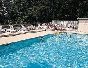 Web-15006-poolo-1
