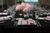 Sonesta Hotel and Suites Coconut Grove::Orbitz