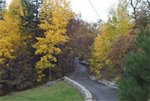 Lodge At Cloudcroft::Yahoo! Travel