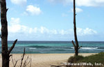Tn-chunsreef_3