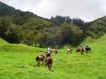 Kohala Country Adventures