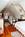 Willows Inn::ProfessionalTravelGuide.com