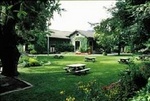 Dry Creek Vineyard