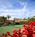 Rancho Valencia::Ranchovalencia.com