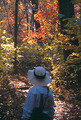 Catoctin Mountain Park