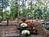 The Quarter Horse Inn::BedAndBreakfast.com