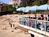 Best Western Casablanca Inn::Priceline.com