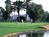 Orange Tree Golf Resort::Priceline.com