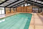 Tn-129054_pool_02_f