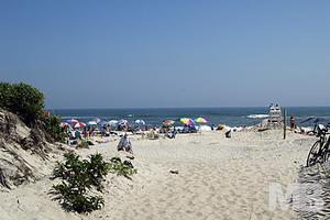 Flying Point Beach::More Beaches