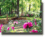Houstonian Hotel Club And Spa::VirtualTourist