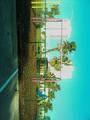 McElroy Park