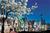 Holiday Inn Hotel and Suites Santa Maria::Orbitz