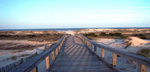 Cumberland Island