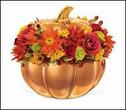 Katherine Rose Flowers & Gifts