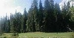 Wawona Golf Course::Yahoo! Travel