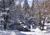 Highland Haven Creekside Inn::BedAndBreakfast.com