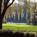 Innisbrook Resort and Golf Club::Expedia