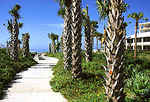 Tiki Gardens - Indian Shores Beach Access