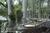 Verandas, The::BedAndBreakfast.com