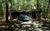 The Resort at Mountain Springs Lake::TripAdvisor