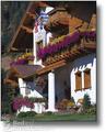 Abendblume Pension