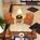 Courtyard by Marriott Hickory North Carolina::ProfessionalTravelGuide.com