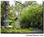 Best Value Carmel Resort Inn::Hotels.com