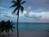 Driftwood On The Ocean::TripAdvisor