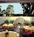 Inn At Rancho Santa Fe from Orbitz