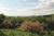 Pittsfield State Forest::ReserveAmerica.com