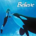 SeaWorld Adventure Park, San Diego::AnaheimOC.org