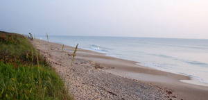 Canaveral National Seashore::Canaveral National Seashore (U.S. National Park Service)