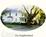 Darci's Parkside Inn Bed and Breakfast::BedAndBreakfast.com