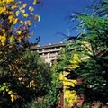 The Orchards Inn Of Sedona::Yahoo! Travel