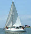 Tn-palmetto_tide1a