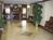 Holiday Inn Express Hotel & Suites Chattanooga-Lookout Mtn.::Orbitz