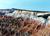 Cedar Breaks National Monument::The American Southwest