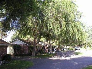 Web-055233e