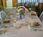 A Memorable Experience::BedAndBreakfast.com