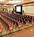 Marriott Cincinnati Northeast::Expedia