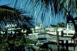 Banana Bay Resort and Marina