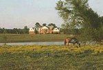 Southern Cross Ranch/Bed and Breakfast::Yahoo! Travel