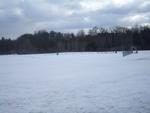 Roberts Field