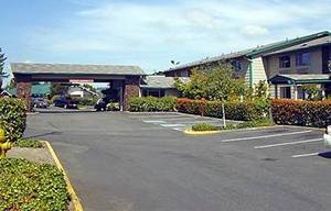 Web-67109_5_b