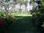 Shoreline Cottages::TripAdvisor